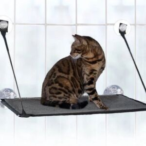 Light blue perch for your cat to put in the window with suction